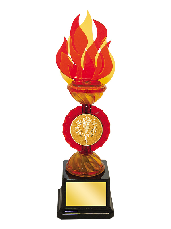 Награда «Пламя» под эмблему - PS1304