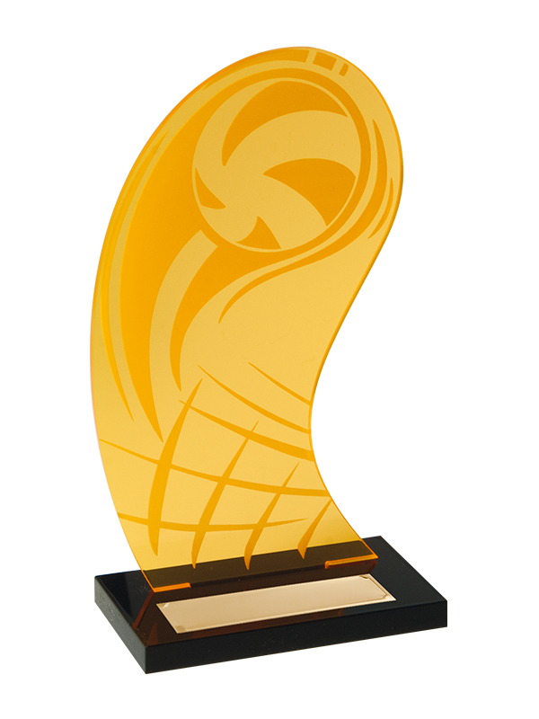 Награда «Волейбол» акриловая - PS1342