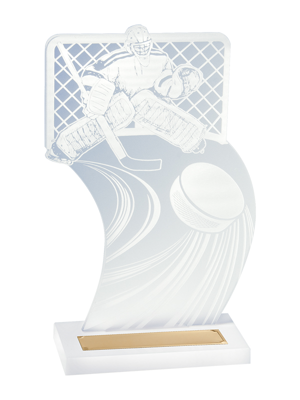 Награда «Хоккей» акриловая - PS1348