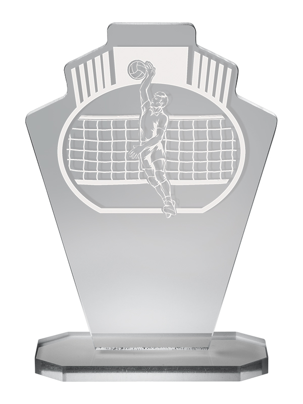 Награда «Волейбол» акриловая - PS539